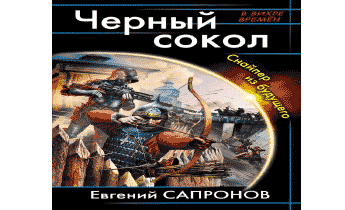 У метро у сокола аудиокнига. Книга черный Сокол. Аудиокнига попаданец снайпер. Аудиокниги попаданцы снайпер. Попаданец Соколов.