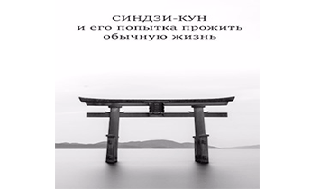 Синдзи-кун и его попытка