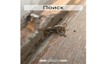 Поиск