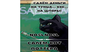 Салем кот Поттера