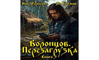 Воронцов. Перезагрузка. Книга 3