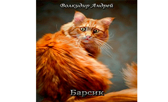 Барсик - житель трущоб