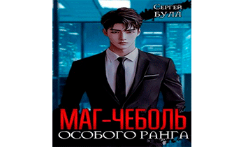 Маг-чеболь особого ранга
