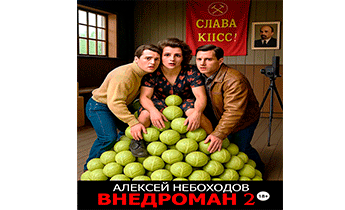 Внедроман 2