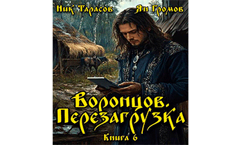 Воронцов. Перезагрузка. Книга 6