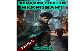 Попаданец с опытом. Некромант. Том пятый