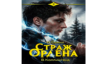 Страж Ордена 2