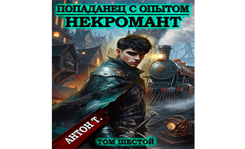 Попаданец с опытом. Некромант. Том 6