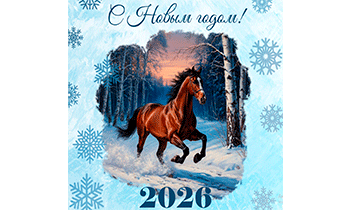 С НАСТУПАЮЩИМ НОВЫМ ГОДОМ!!!