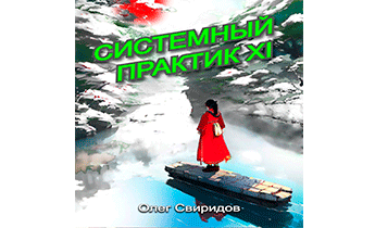 Системный практик XI