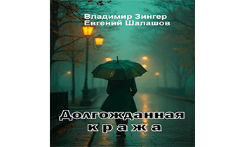 Долгожданная кража