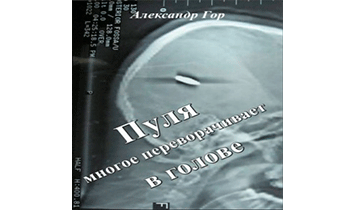 Пуля многое переворачивает в голове