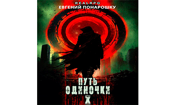 Путь одиночки. Книга 10