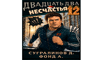 Двадцать два несчастья. Том 12