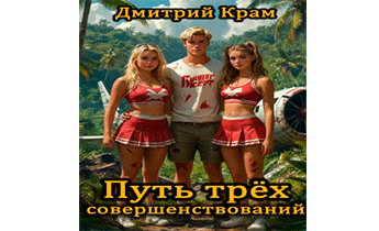 Путь трёх совершенствований. Том 4